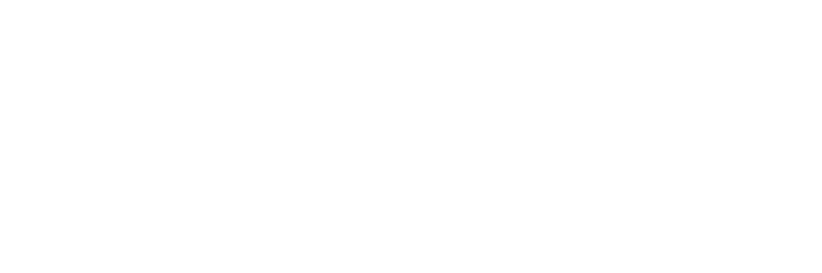 Munich Consulting Group